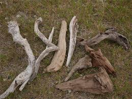 淀川に流木落ちてますか こんにちは 先日 テレビ でやっていま Yahoo 知恵袋