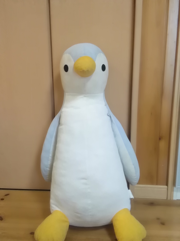 ペンギンの抱き枕を探しています 一昨年の夏にイオンで買ったひんやりと冷たいもの Yahoo 知恵袋