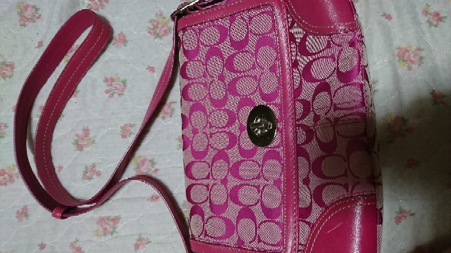 29歳で1児の母ですが Coachのｼｸﾞﾈﾁｬｰはﾀﾞｻいですか Yahoo 知恵袋