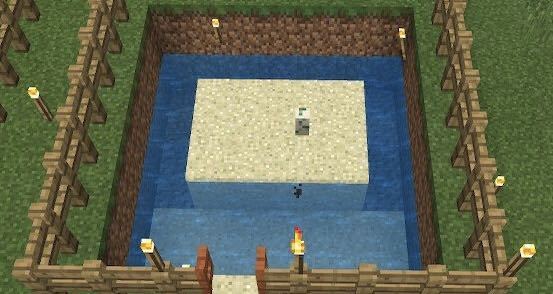 カメの卵をシルクタッチでとって拠点で卵を孵らせるとき水は周りにな Yahoo 知恵袋