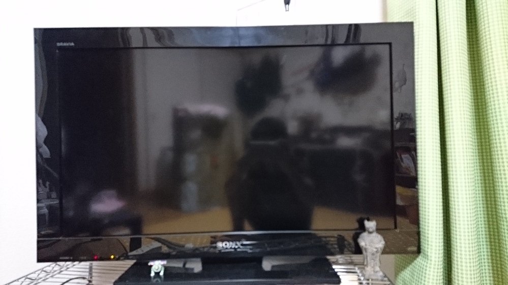 テレビに突然写真にある白いひびが入りました 最初に気づいたときは小さ Yahoo 知恵袋