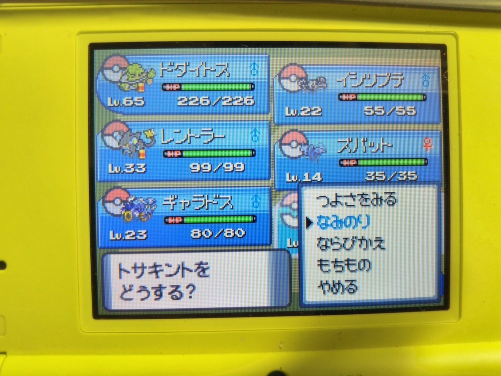 ニンテンドーdsライト ポケットモンスターダイヤモンド について 詳しい方いら Yahoo 知恵袋