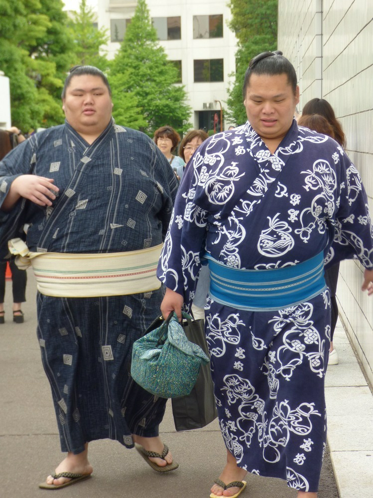 相撲には無知なのですが以前貴乃花部屋に貴月芳貴斗志という双子の力士がいたんです Yahoo 知恵袋