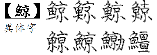 クジラの漢字は鯨魚へんに京ですが古い文字では魚へんの下の が大の文字も有るので Yahoo 知恵袋