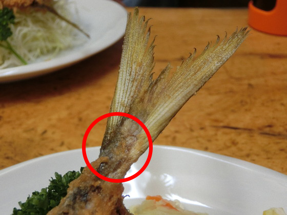 エビフライの尻尾を食べれる人がこのカテにもいますが その方々はアジフライの尻尾 Yahoo 知恵袋