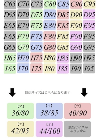 発送 歌 無視できる 海外 ブラジャー サイズ K Rakuichi Jp