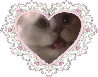 量産型のヲタクが顔を隠す際に使っている、画像のような、ハートの中に 