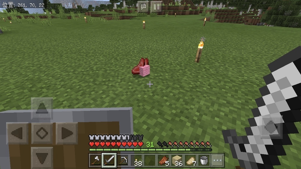 マイクラpeについてこの羊ってスポーン率何 ですか 初めてピンクの羊 Yahoo 知恵袋