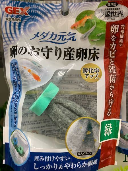 金魚の交尾について教えて下さい 和金3匹とコメット1匹の4匹の金魚を同じ Yahoo 知恵袋