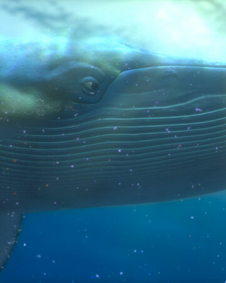 ディズニーシリーズにクジラはどれくらいいましたか また その中に悪役は何体いま Yahoo 知恵袋