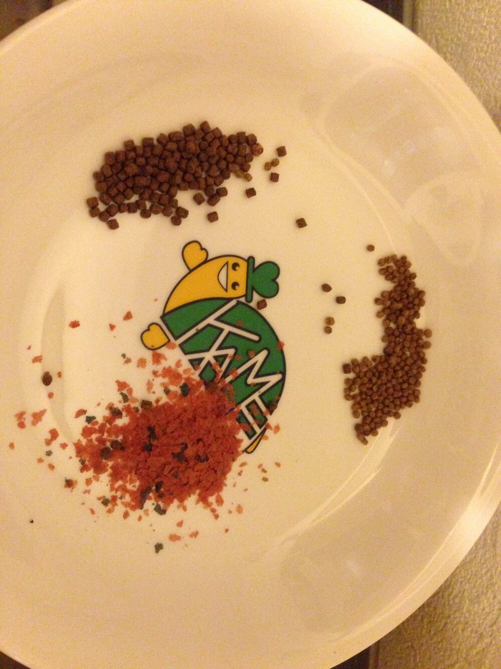 白濁りがなかなか改善されません 60cm水槽でらんちゅうや琉金などを6匹ほど飼 Yahoo 知恵袋