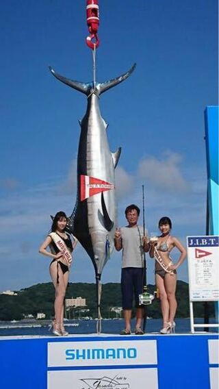 かっこいい 魚 画像 あなたに最適な公開画像