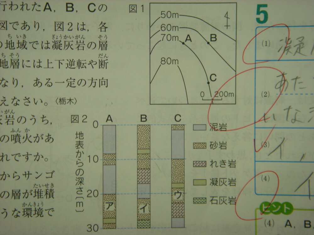 至急 理科の地層の問題について 問 図１はボーリング調査が行われたa Yahoo 知恵袋