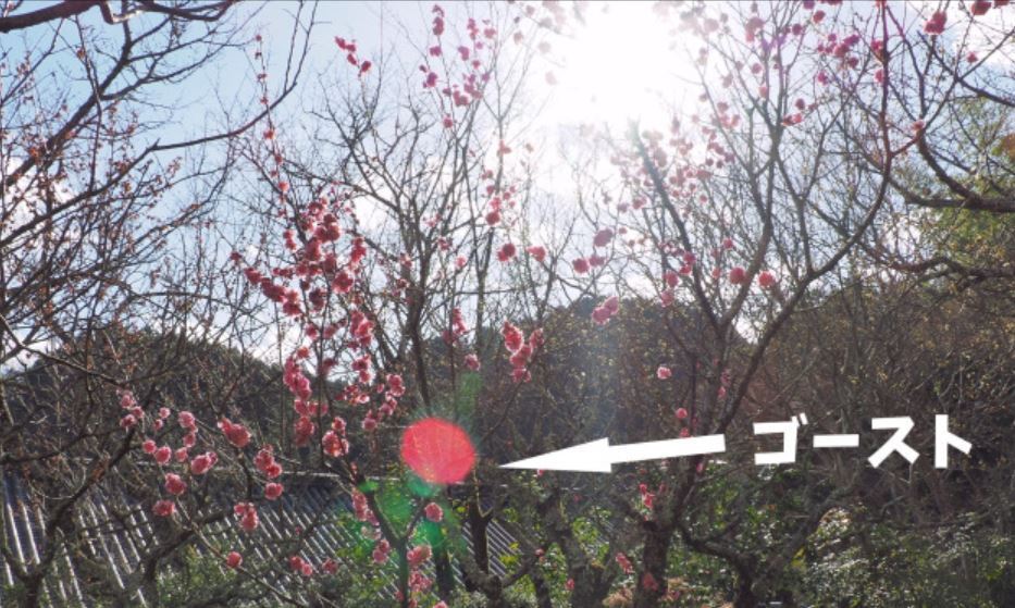 龍神様龍が祀られる神社にお参りした後 母が撮った自分の写真に龍が写りました 赤 Yahoo 知恵袋