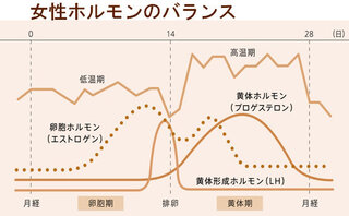 黄体形成ホルモン プロゲステロン の値は高温期４日目と１０日目あたりでは数値は Yahoo 知恵袋