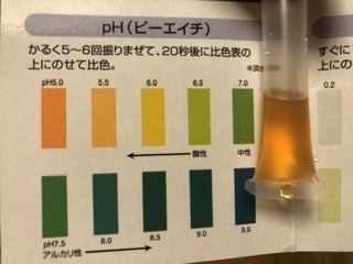 水草一番というソイルを使ってるベタの水槽の水がバイコムのテストキットで測ったら Yahoo 知恵袋