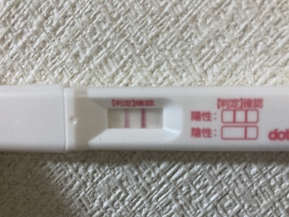 生理予定日2日前です フライングは承知しています 化学流産の可能性も Yahoo 知恵袋