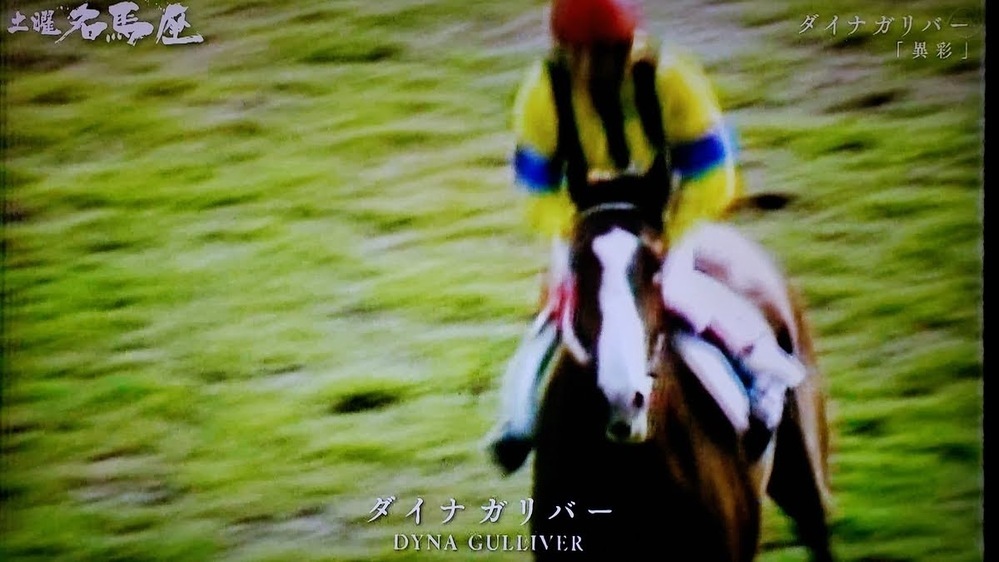 個性的な流星をしているg1馬を教えてください 第53代ダービー馬すね Yahoo 知恵袋