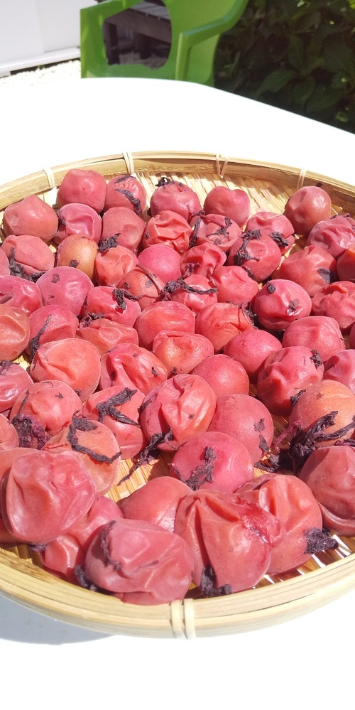 お天気なので梅を干そうと思ったら液がピンク色に濁っています 膜も張っていなく粘 Yahoo 知恵袋