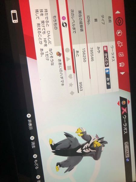 ポケモンについての質問です なぜか僕のウーラオスのきあいのタスキ Yahoo 知恵袋