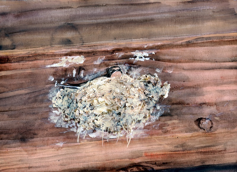 水彩画って厚塗りしてもいいものですか B2サイズに大樹を構成し Yahoo 知恵袋