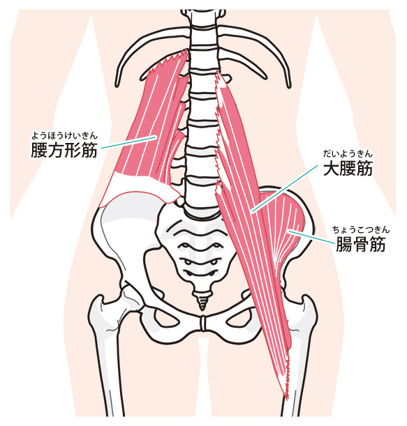 左の腰の出っ張っている骨よりお腹側が押すと痛いです 痛みは昨日からあります Yahoo 知恵袋