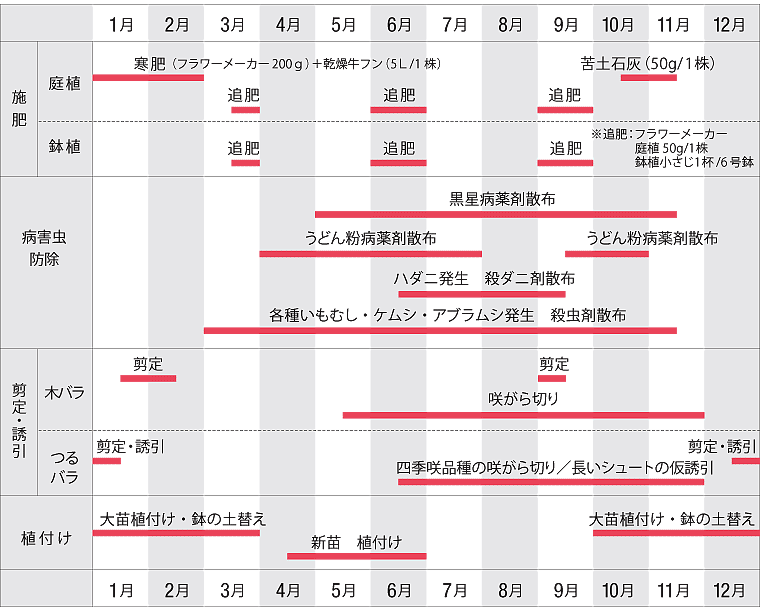 ピエールドゥロンサールについて質問です ずっと憧れていたバラを遂に購入し Yahoo 知恵袋