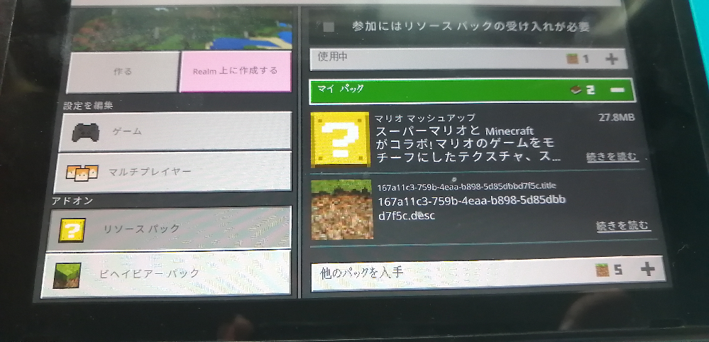 Switch版のマイクラで購入したパックについてお尋ねします 先程マ Yahoo 知恵袋