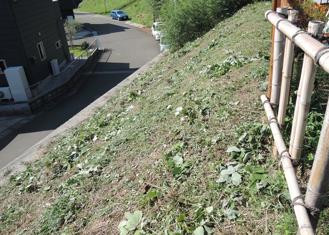 草刈り機の回転刃の角度が 自動的に地面と平行になるような草刈り機がで Yahoo 知恵袋