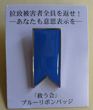 国会議員が背広の襟にしている議員バッジの下にもう一つ青いバッジが見え Yahoo 知恵袋