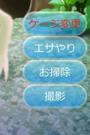 至急 ウーパールーパーの育成ゲームでゲージ交換しなかったらどうなりま Yahoo 知恵袋