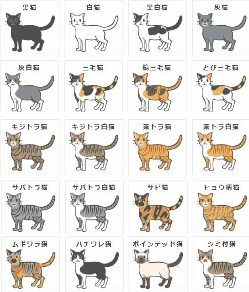 猫の模様はどんな種類がありますか できるだけたくさん できれば説明もお願いしま Yahoo 知恵袋