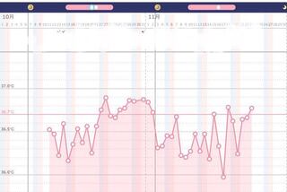 基礎体温 低い 妊娠出来た
