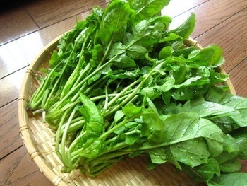 青い食べ物といえば 何を思い浮かべますか 沖縄イラブチャー Yahoo 知恵袋