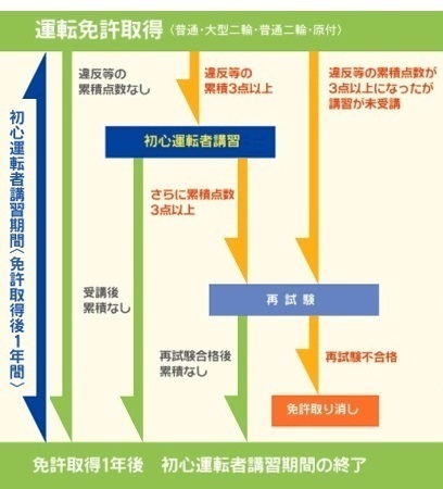 初心者運転の一時不停止について現在初心者運転期間中 免許を取得して1年以内 な Yahoo 知恵袋